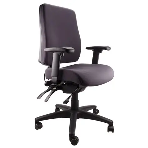 ErgoForm Adjustable Task Chair